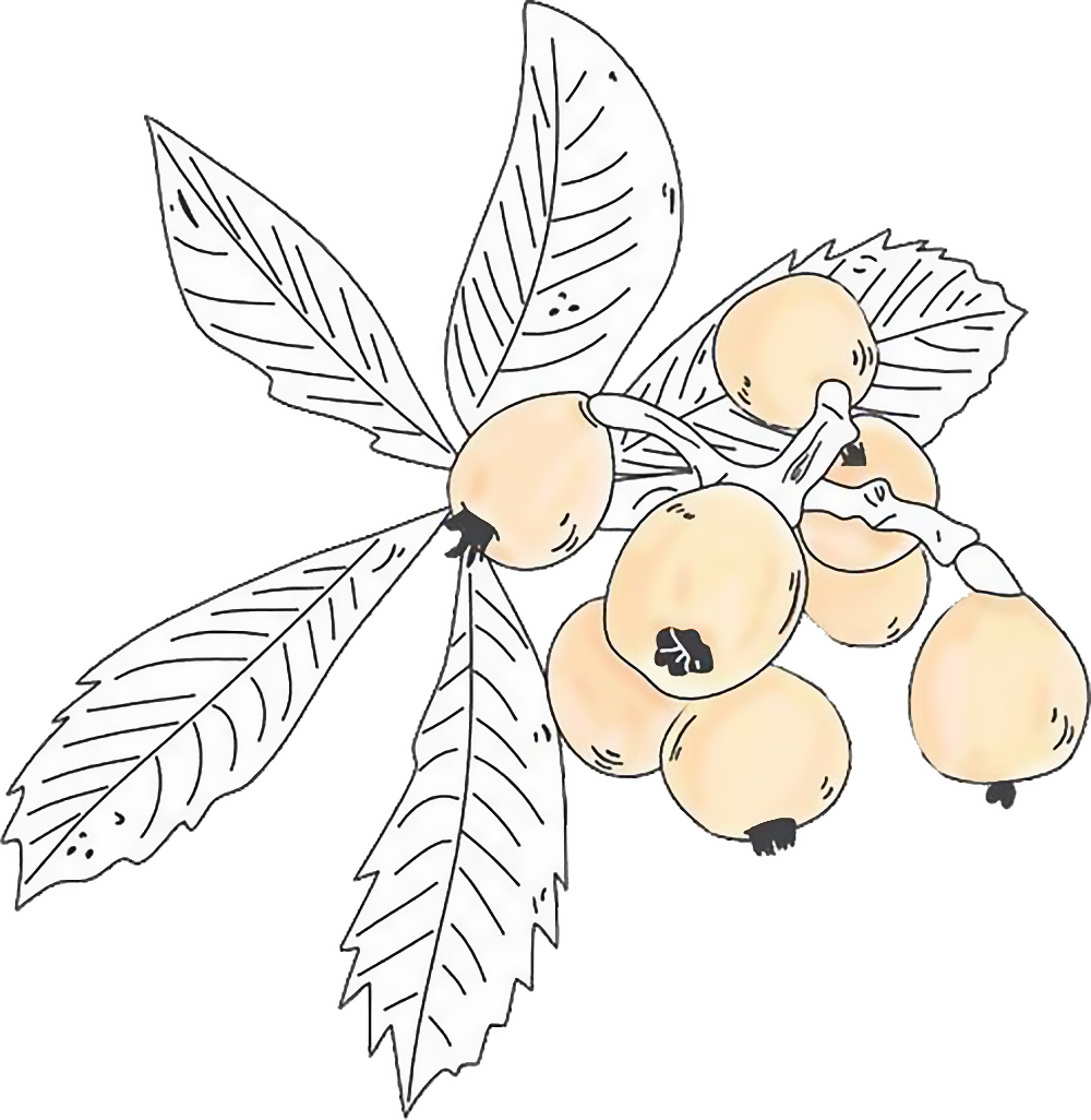 Traiteur sur mesure pour vos événements privés et professionnels, entre générosité, saveurs et raffinement.